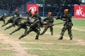 Chinese army in Hong Kong garrison