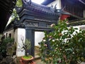 Chinese atmosphere and plants, art, history and architecture in Shanghai city, China
