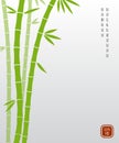 Chinese bamboo or japanese bambu asian vector background Royalty Free Stock Photo