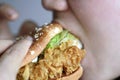 Chinese beauty girl eat hamburger closeup, blank white background Royalty Free Stock Photo