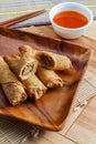 Chinese Beef Egg Rolls Royalty Free Stock Photo