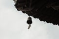 chinese bell under the temple`s roof Royalty Free Stock Photo