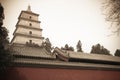 Chinese big wild goose pagoda Royalty Free Stock Photo