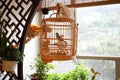 Chinese bird cages