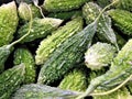 Chinese Bitter Melon from Local Produce Market Royalty Free Stock Photo