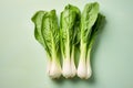 Chinese Bok choy cabbage vegetable on pastel background