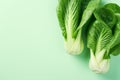 Chinese Bok choy cabbage vegetable on pastel background