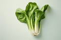 Chinese Bok choy cabbage vegetable on pastel background