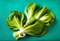 Chinese Bok Choy over blue color tea towel background