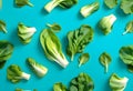 Chinese Bok Choy over blue color tea towel background