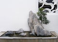 Chinese bonsai rock and tree Royalty Free Stock Photo