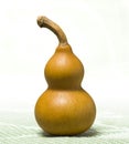 chinese bottle gourd Royalty Free Stock Photo