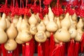 Chinese Bottle Gourd Royalty Free Stock Photo