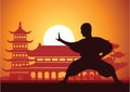 Chinese Boxing Kung Fu martial art