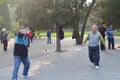 Chinese boxing-Tai Chi