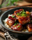 Chinese braised pork belly with rice