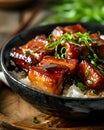 Chinese braised pork belly with rice