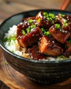 Chinese braised pork belly with rice