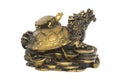 Chinese Brass Tortoise Lucky Charm Royalty Free Stock Photo