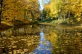 The Chinese Bridge and lake in Olexandria Park Royalty Free Stock Photo