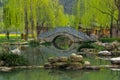 Chinese bridge near the lake during early spring