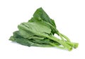 Chinese broccoli or chinese kale isolated on white