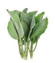 Chinese broccoli or chinese kale isolated on white background Royalty Free Stock Photo