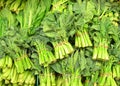 Chinese Broccoli Royalty Free Stock Photo