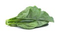 Chinese broccoli Royalty Free Stock Photo