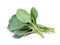 Chinese broccoli Royalty Free Stock Photo