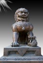 Chinese bronze lion statue Royalty Free Stock Photo