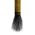 Chinese brush