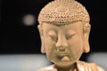 Chinese Buddha in the Museum