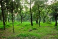 Chinese Burial Mounds Royalty Free Stock Photo