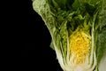 Chinese cabage on black background Royalty Free Stock Photo