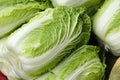 Chinese cabbage Royalty Free Stock Photo