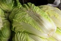 Chinese cabbage Royalty Free Stock Photo