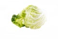 Chinese cabbage Royalty Free Stock Photo