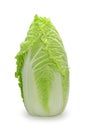 Chinese cabbage