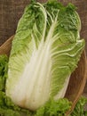 Chinese cabbage