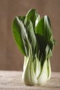 Chinese cabbage bok choy pak-choi on rustic Royalty Free Stock Photo