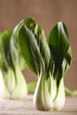 Chinese cabbage bok choy pak-choi on rustic