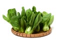 Pok Choi Royalty Free Stock Photo