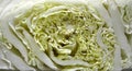 Chinese cabbage cut in half, large plan