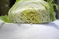 Chinese cabbage cut in half on a white paper towel, closeup