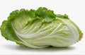 Chinese cabbage, cut out on white background, cut out on white background Royalty Free Stock Photo