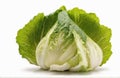 Chinese cabbage , cut out on white background Royalty Free Stock Photo