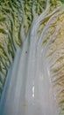 Chinese cabbage Royalty Free Stock Photo