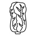 Chinese cabbage icon, outline style