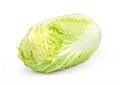 Chinese cabbage isolated